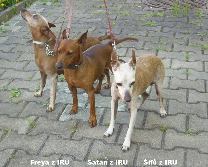 2.8.2020 Freya, Satan, Šífů z IRU postoj