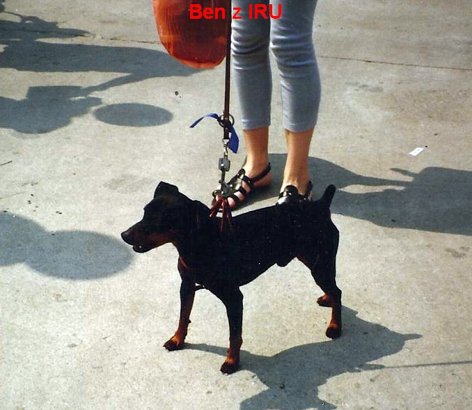 1993 červen Ben z IRU