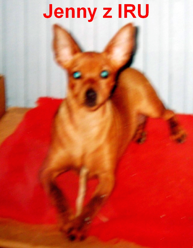 20.11.1999 Jenny z IRU  4 měs.s tyčkou