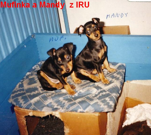 (12) 21.9.2001 Mandy a Mufinka z IRU na bedýnce