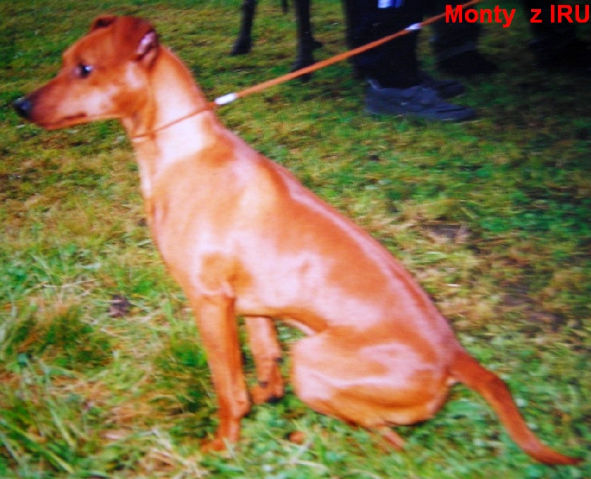 (27) 21.4.2002 Monty z IRU