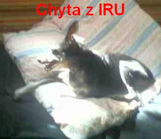 (13) Chyta z IRU na křesle