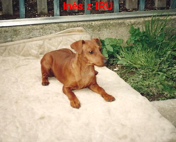 (20) 22.4.1999 Inés z IRU na dece, 4měs.