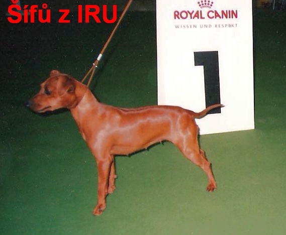 9.9.2006 Šífů z IRU ,Lipsko