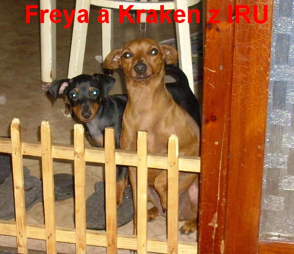 10.5.2013 Kraken a Freya z IRU za plůtkem