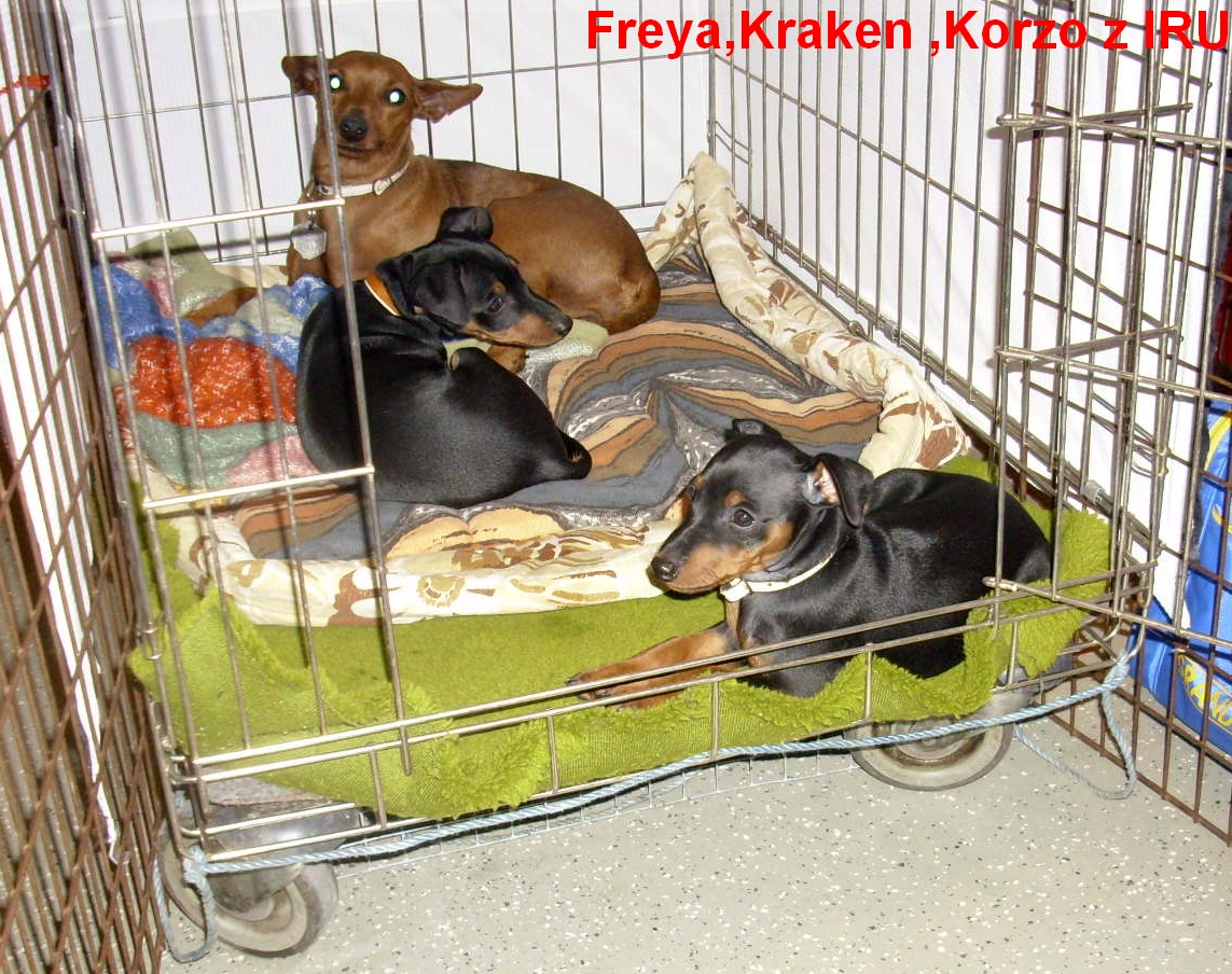 28.4.2013 Freya,Kraken,Korzo z IRU v Drážďanech