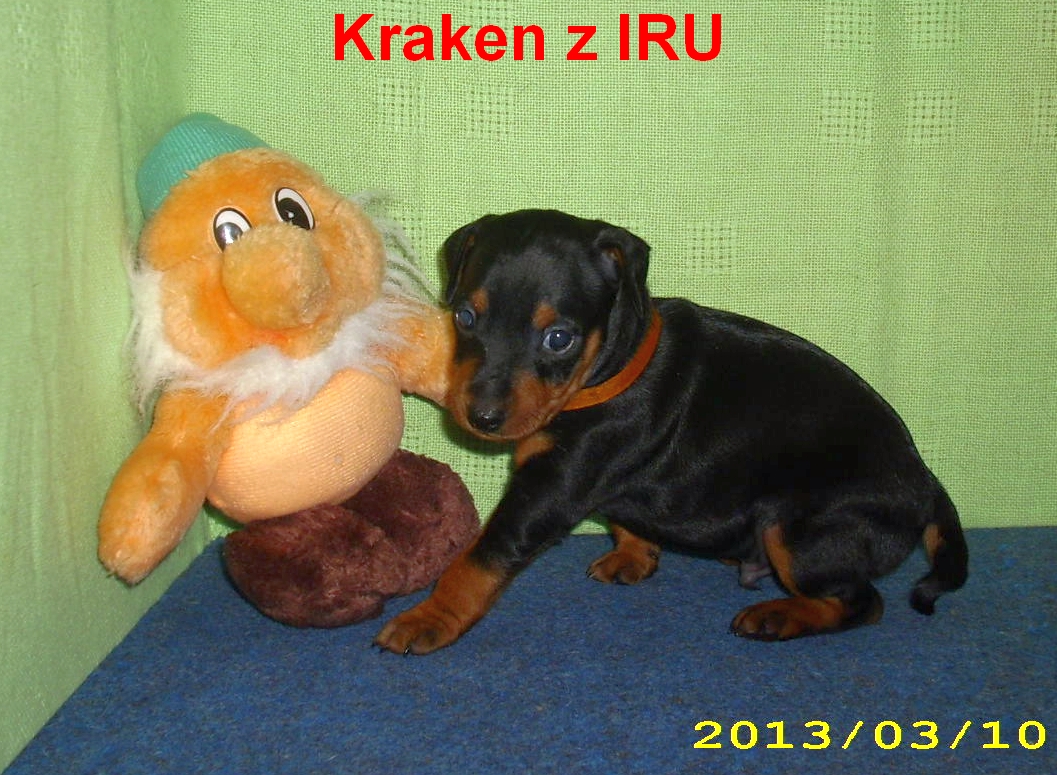 10.3.2013 Kraken z IRU já jsem také trpaslík top