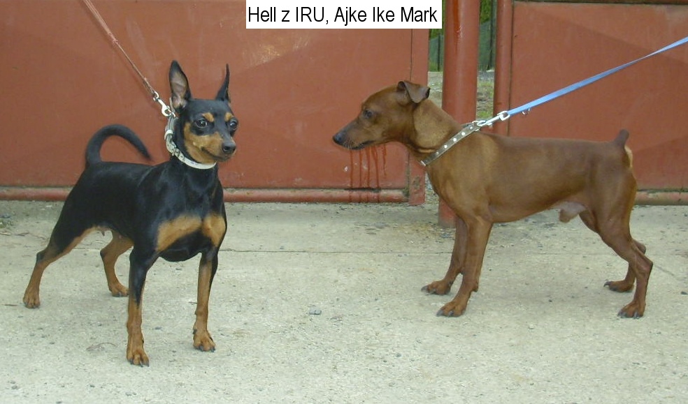 13.3.2015 Hell z IRU a Ajke Ike Mark,pyšná princezna