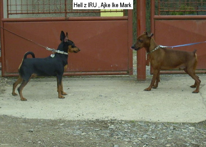 13.3.2015 Hell z IRU x Ajke Ike Mark