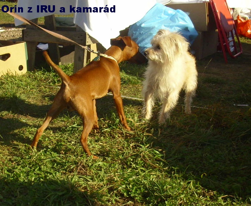 8.11.2015 Orin z IRU a kamarád