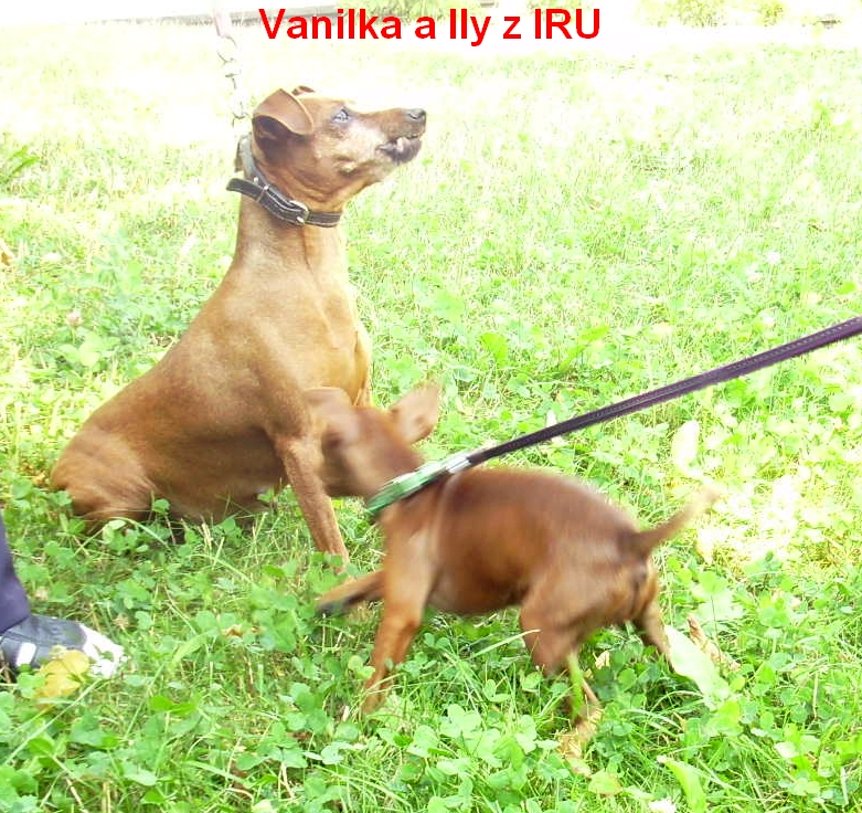 8.8.2012   Izabella  a Vanilka z IRU neposeda