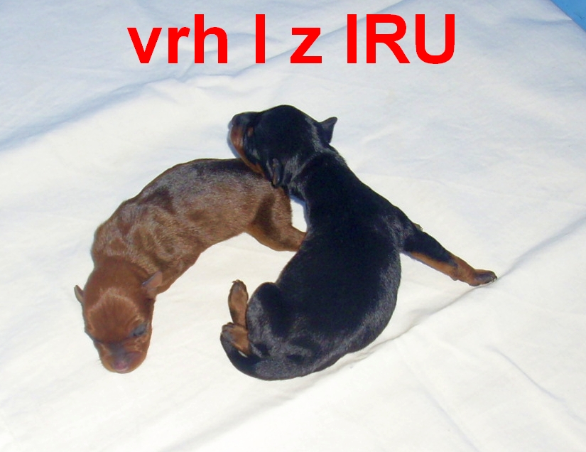 20.5.2012 vrh I1 z IRU