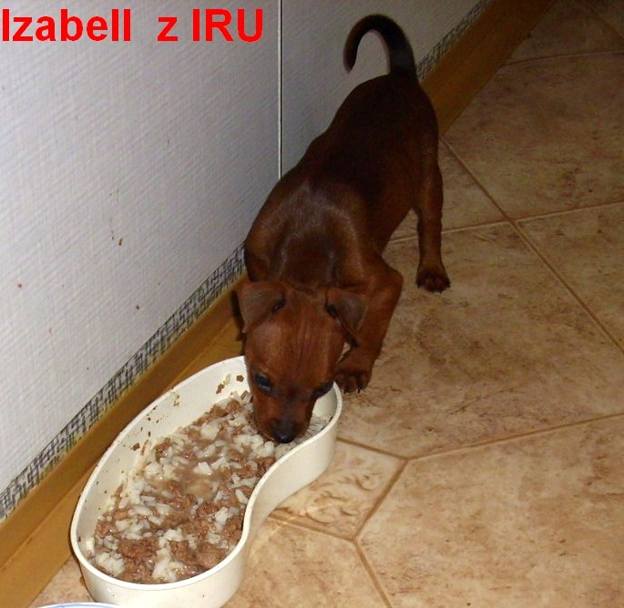 3.7.2012 Izabell  se krmí