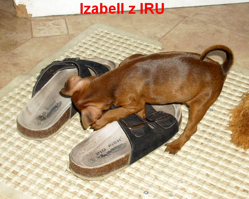 3.7.2012 Izabell a pantofle