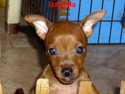 12.7.2012 Izabella z IRU  čelem, netopýrek