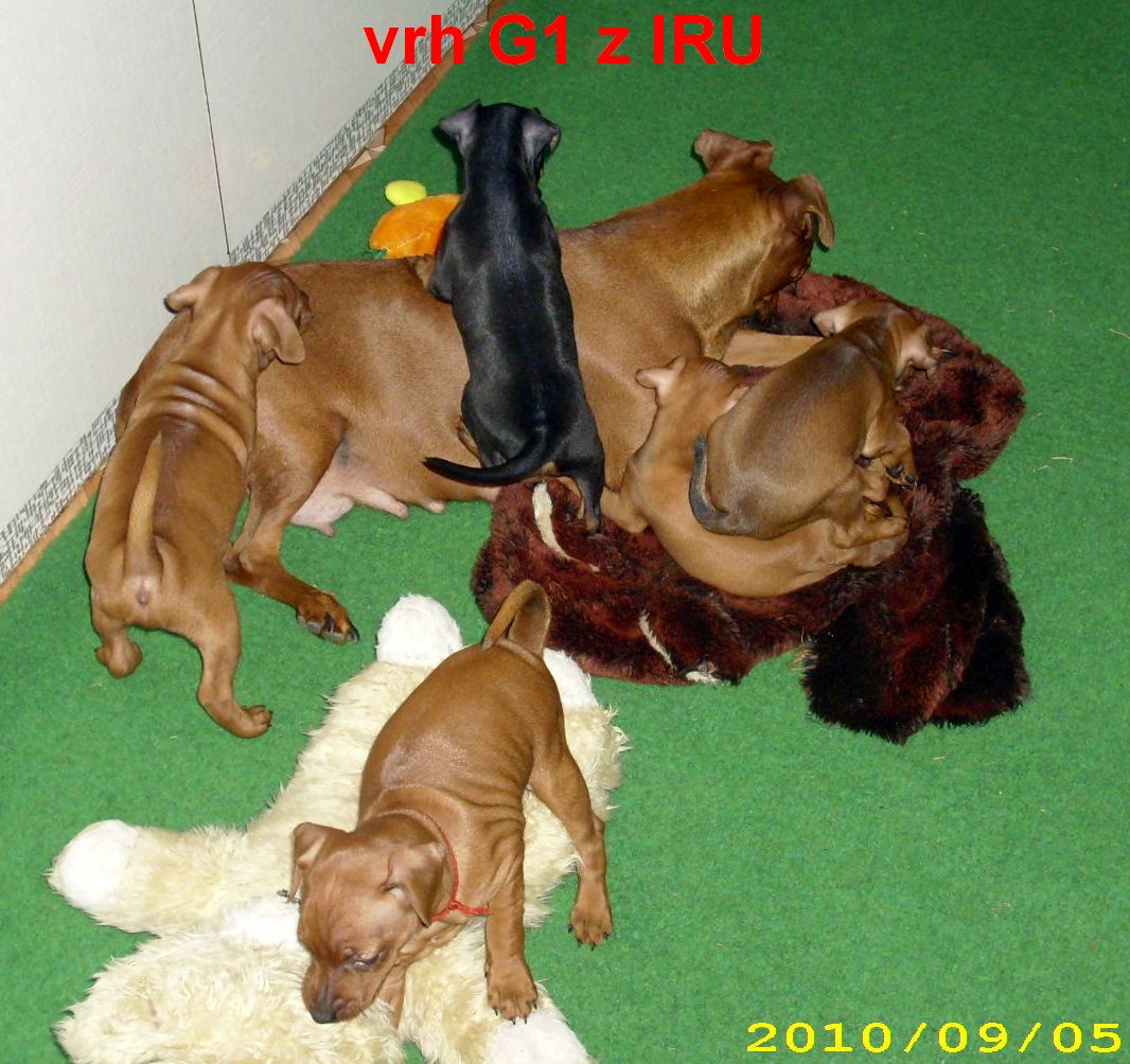 5.9.2010 vrh G1  8