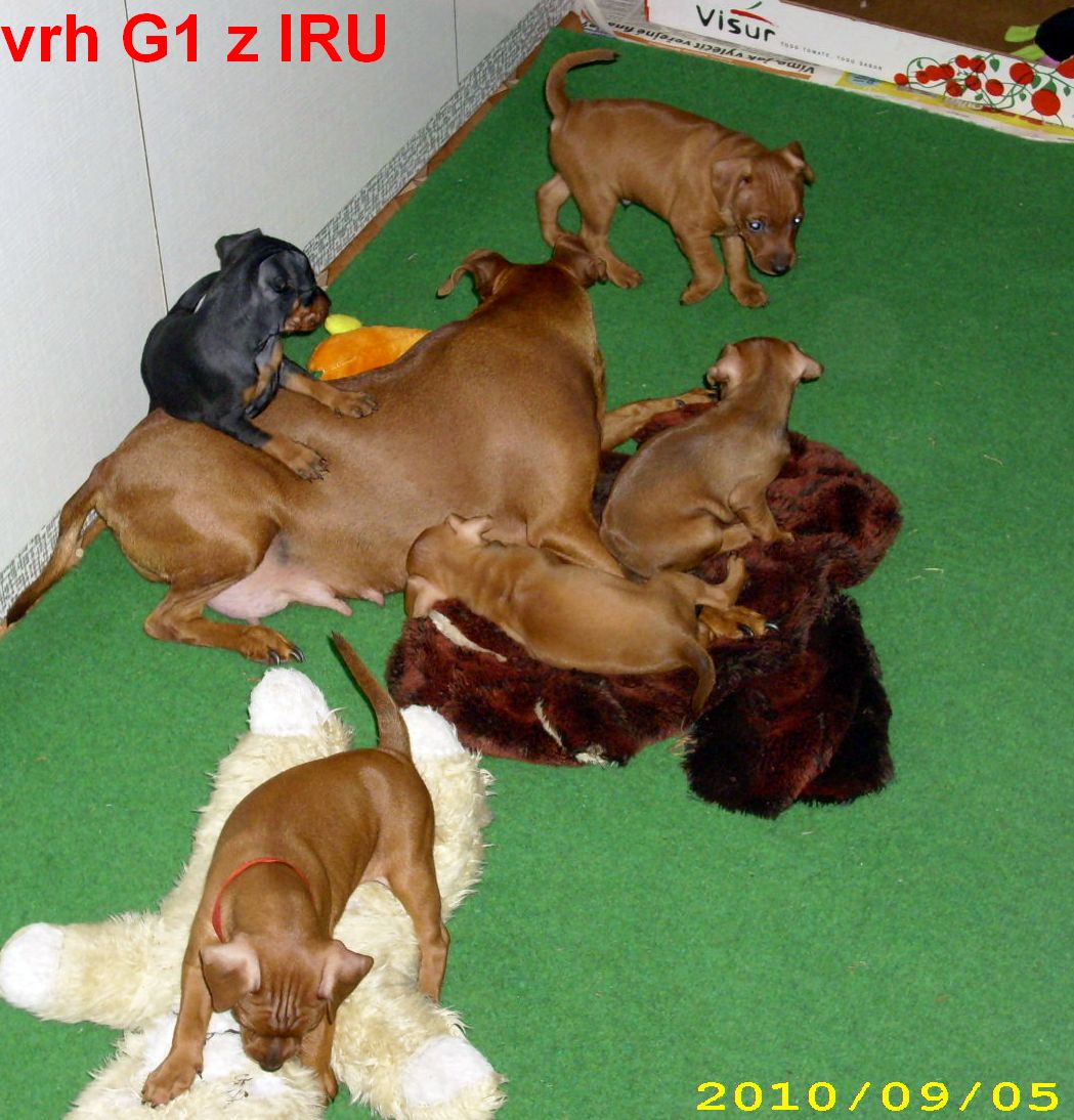 5.9.2010 vrh G1 9