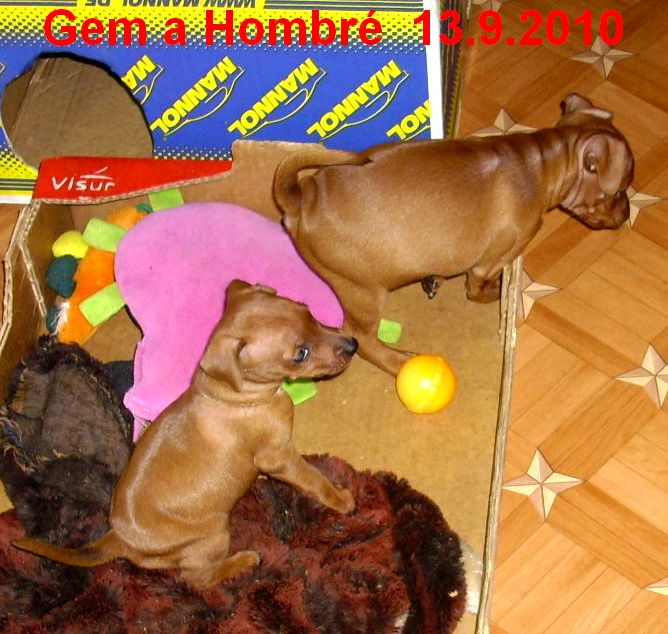13.9.2010 Gem a Hombré