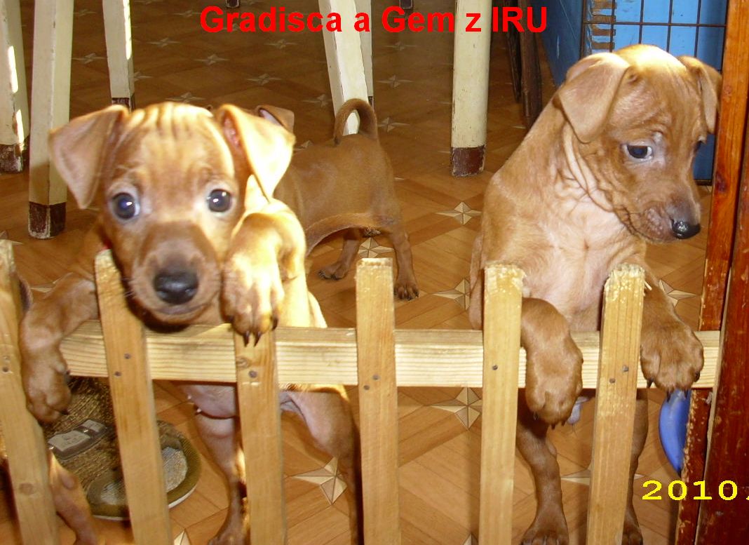 17.9.2010 Gradisca a Gem u plůtku