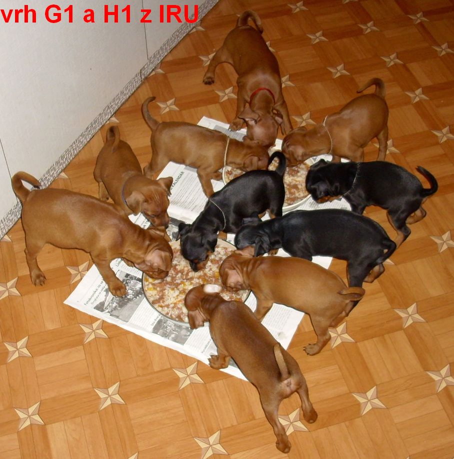 17.9.2010 vrh G 1 a H1 u jídla 2