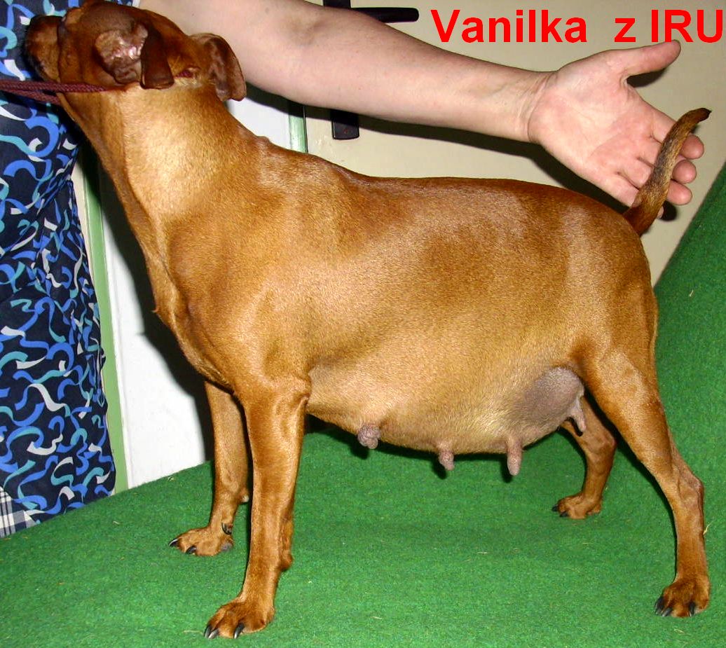 22.7.2010  Vanilka z IRU top mamina stojí 2