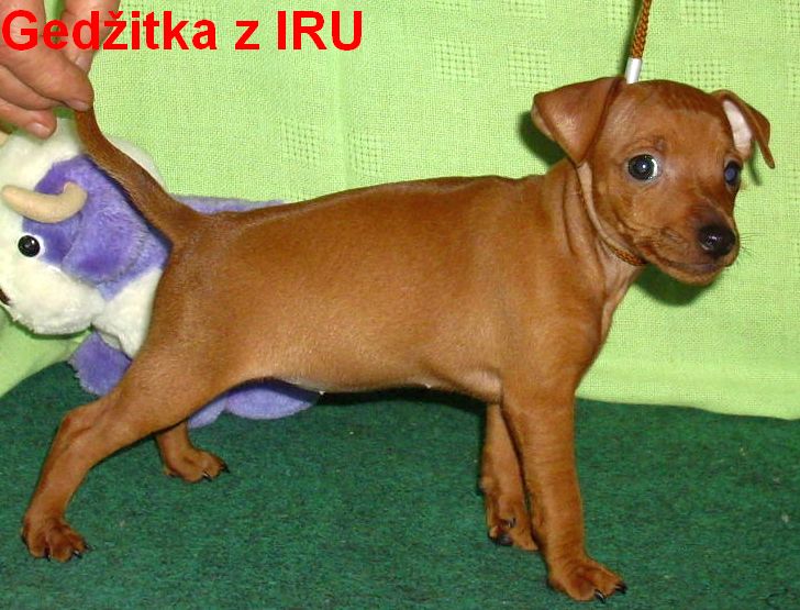 17.9.2010 Gedžitka stojí vpravo