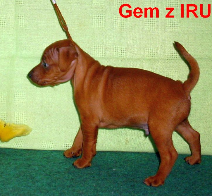 5.9.2010  Gem z IRU bokem