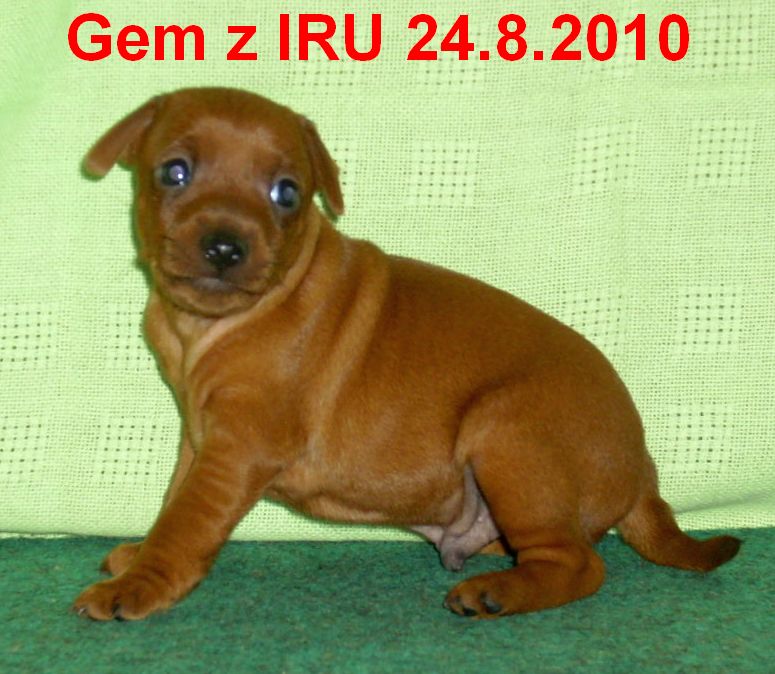 24.8.2010 Gem z IRU  sedí