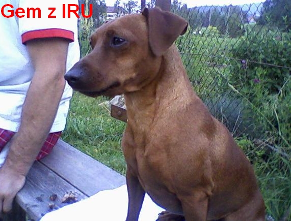 srpen 2012 Gem z IRU sedí