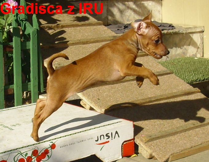 21.9.2010 Gradisca z IRU ve skoku