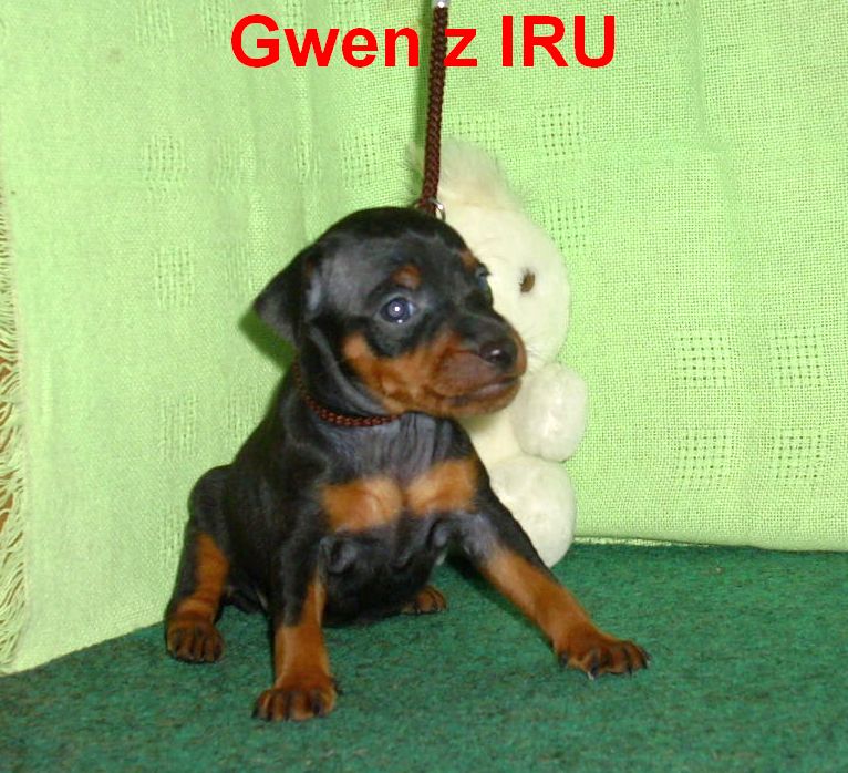 24.8.2010  Gwen z IRU pálení