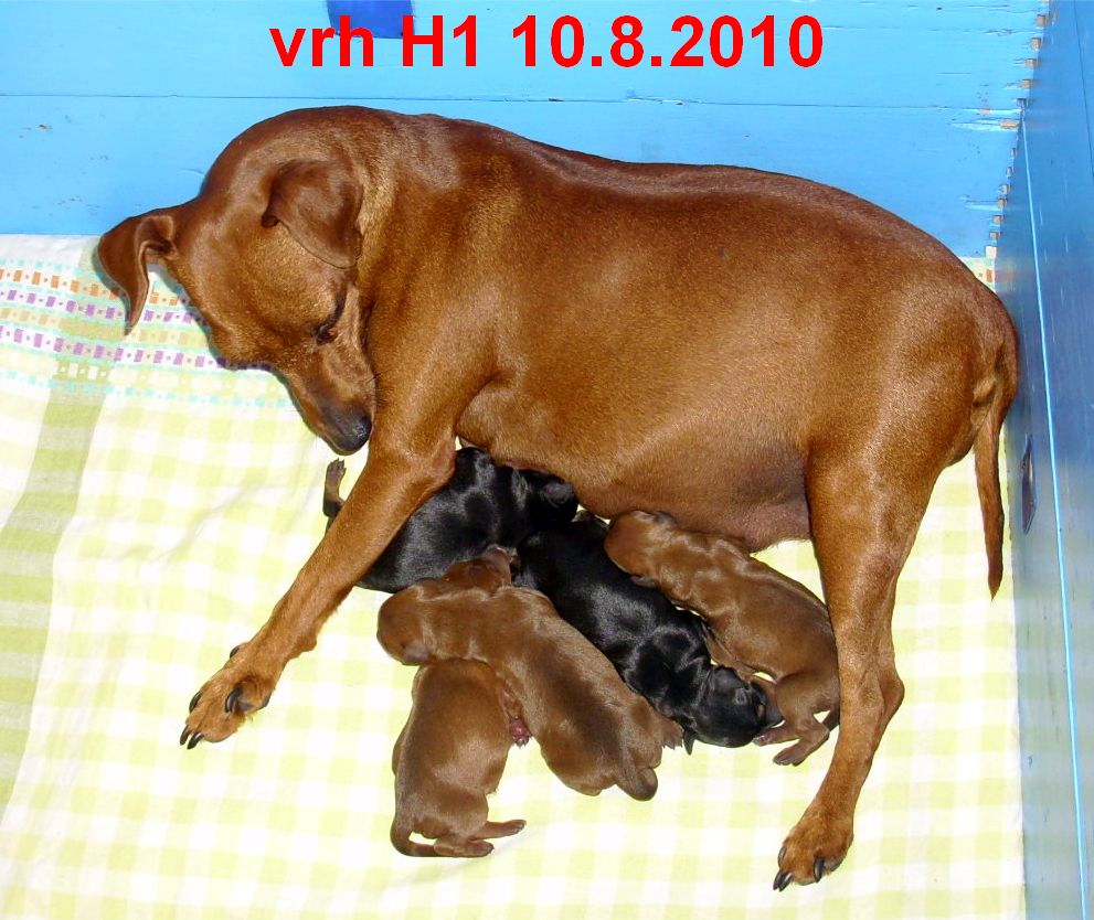 10.8.2010 vrh H1 se Šarí hlava dolu