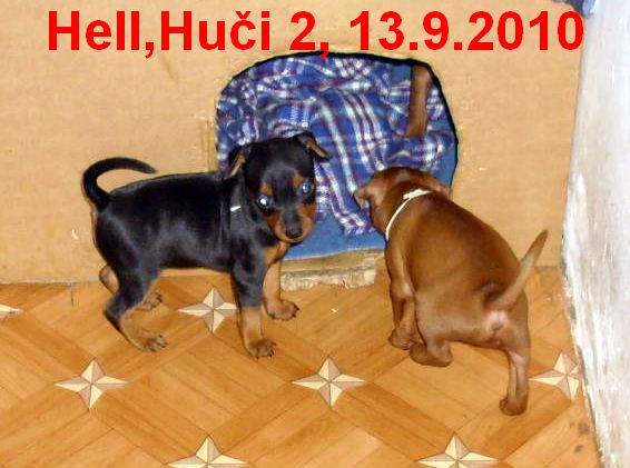 13.9.2010 Hell,Huči 2