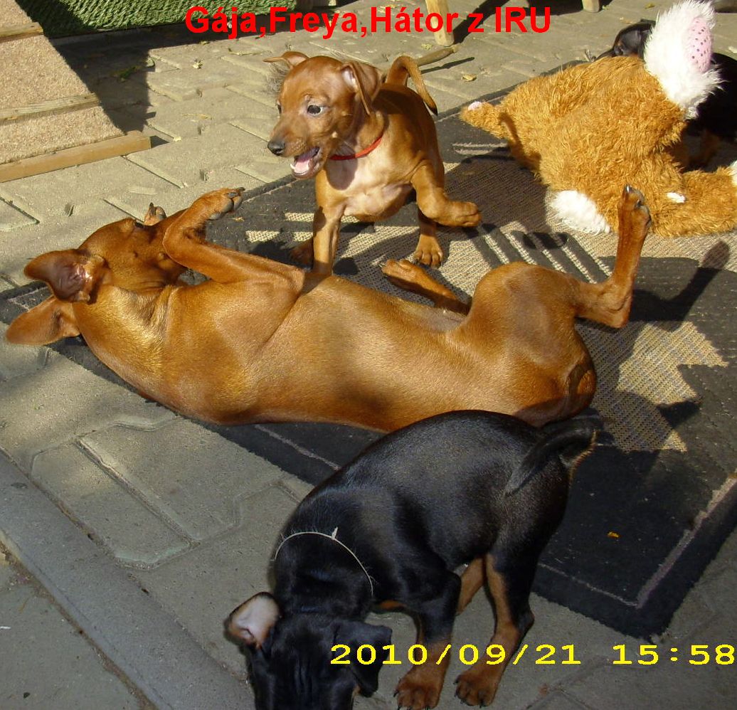 21.9.2010 z IRU s Freyou