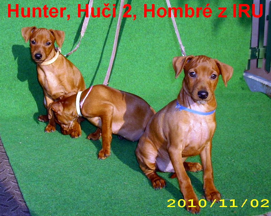 2.11.2010 Hunter,Huči 2, Hombré z IRU na vodítkách