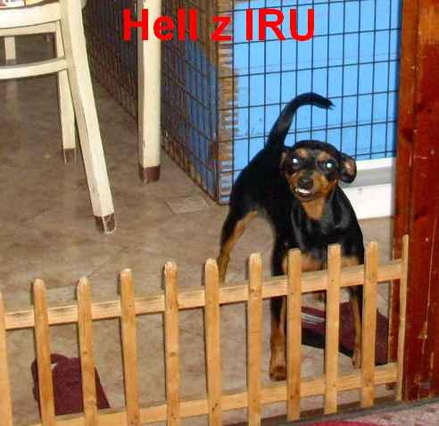 4.10.2012 Hell se zubí