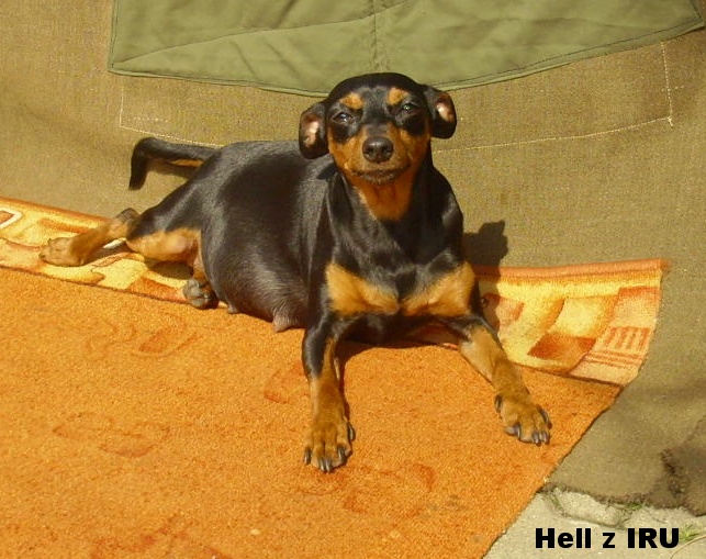 5.4.2016 Hell z IRU pupík