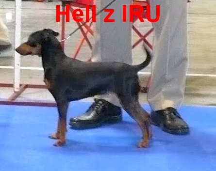 5.5.2013 Hell z IRU MVP Praha 2013 postoj