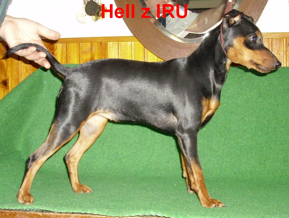 10.2.2011 Hell z IRU  na lavici