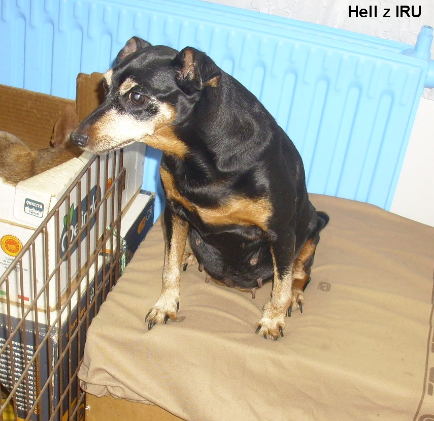 10.8.2023 Hell z IRU, narozeniny 13 let. pupík