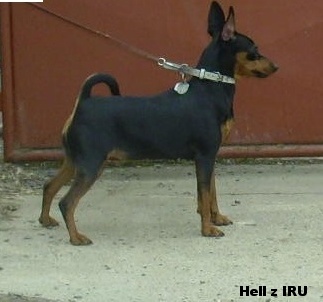 13.3.2015 Hell z IRU postoj bok