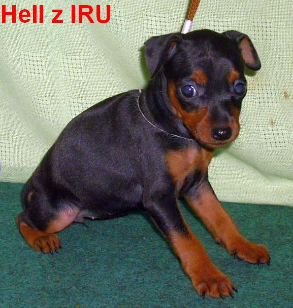 17.9.2010 Hell z IRU sedí