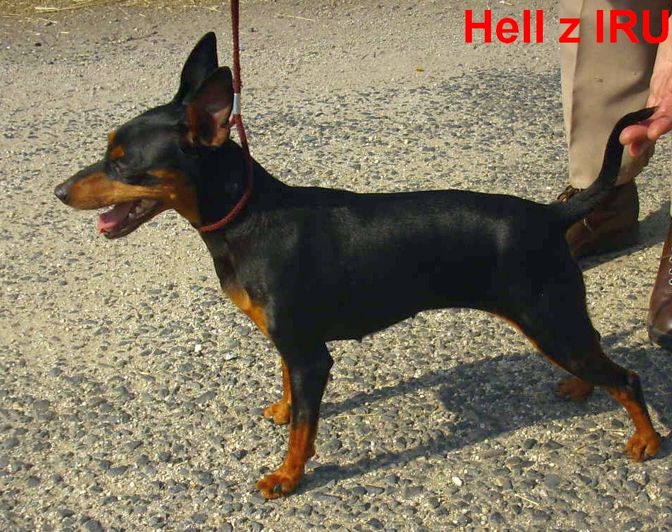 18.7.2013 Hell z IRU postoj ,  top