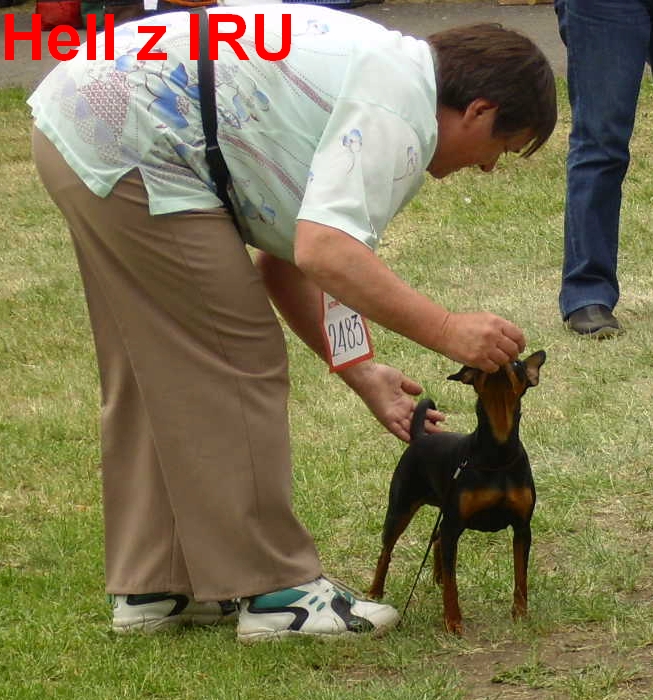 27.5.2012 MVP Litoměřice  Hell z IRU rozdělení, prý je slabé