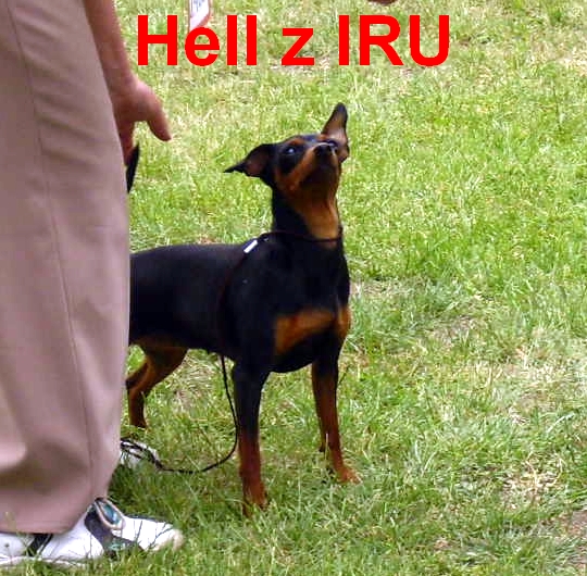 27.5.2012 MVP Litoměřice , Hell z IRU neví co s ušima