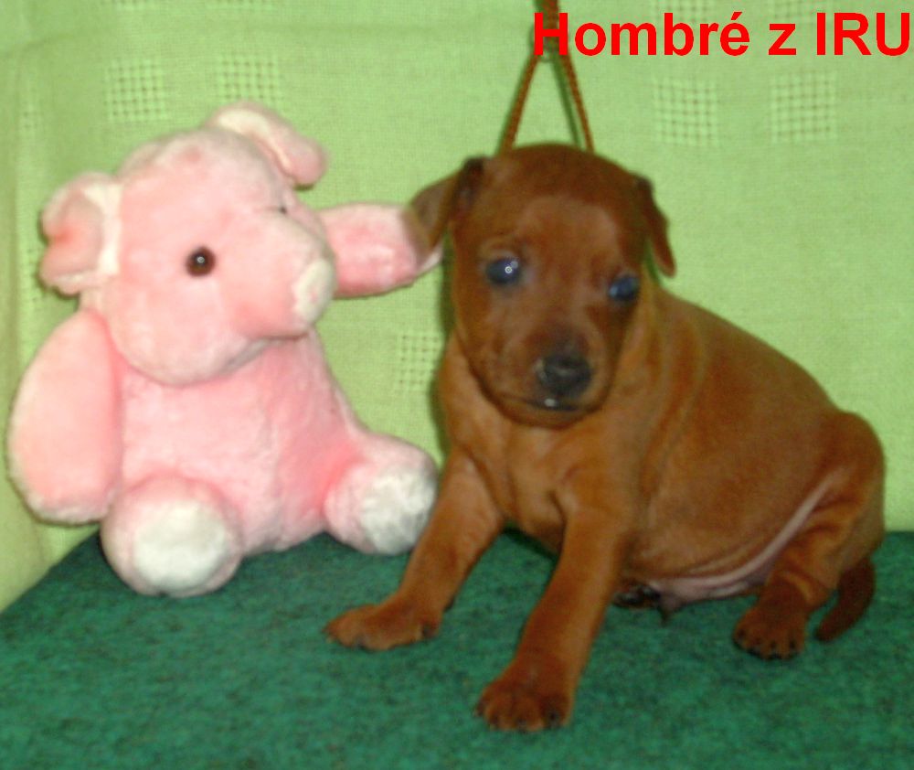 5.9.2010 Hombré z IRU  sedí