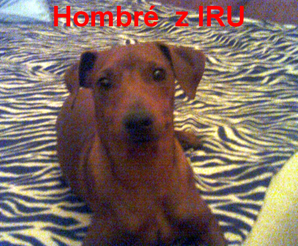 10.3.2011Hombré z IRU  na gauči doma