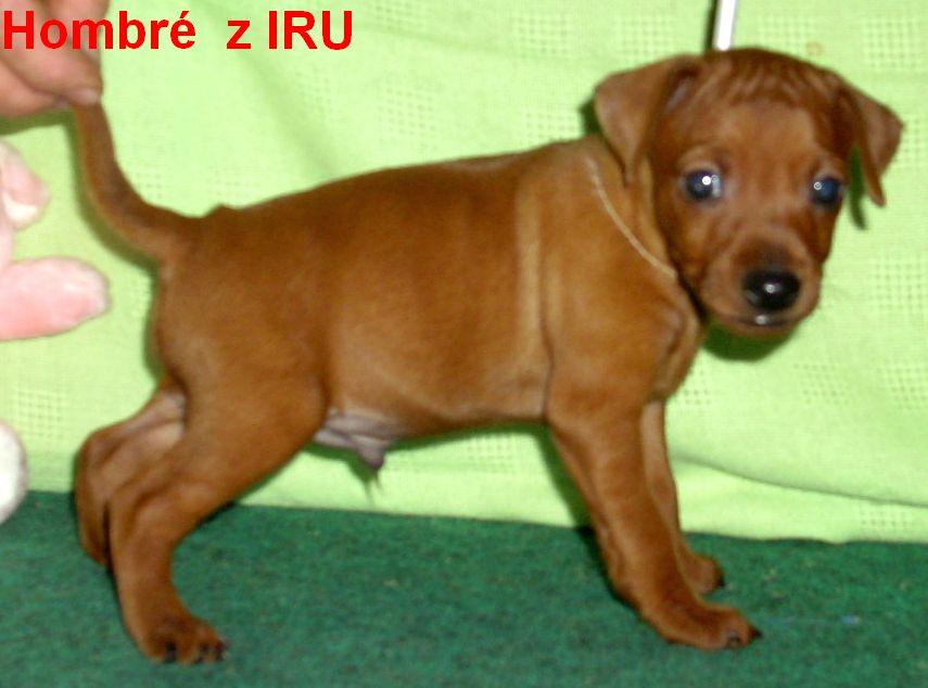 17.9.2010 Hombré z IRU  stojí