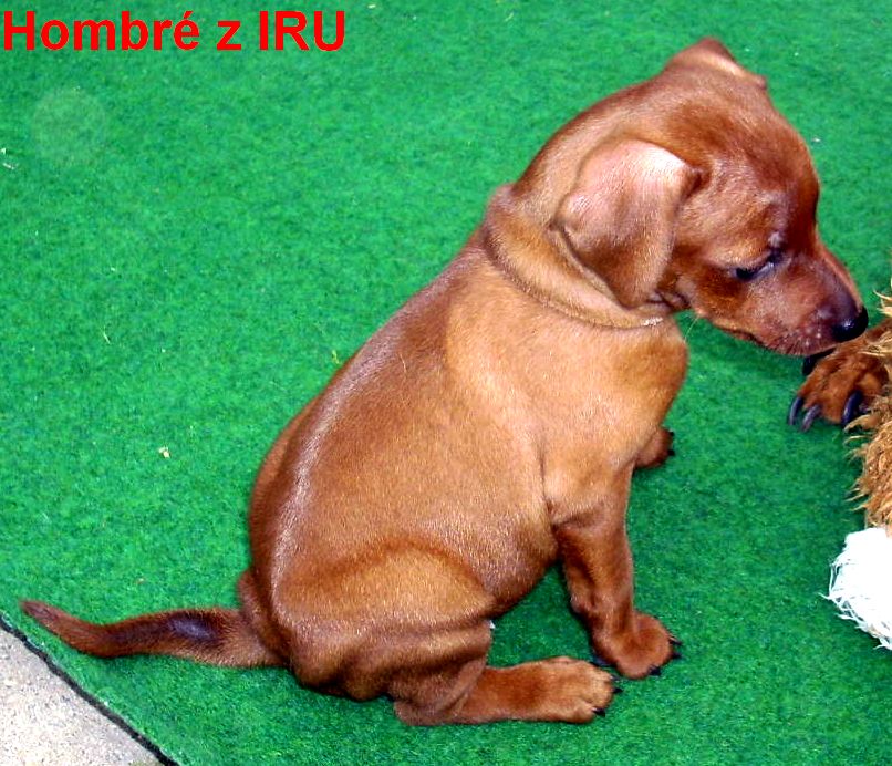 21.9.2010 Hombré z IRU  sedí venku