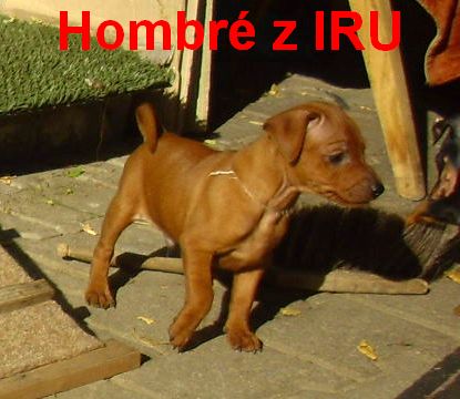 21.9.2010 Hombré z IRU venku